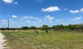 608 CR 1162, Alice, TX 78332