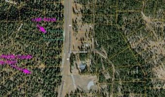 Horned Owl Lane, Bonanza, OR 97623