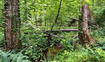 580 Eagles Perch Rd, Ball Ground, GA 30107