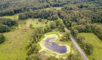 16445 29 MILE Rd, Albion, MI 49224