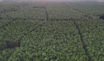 Lower Bay Road, Bay St. Louis, MS 39520