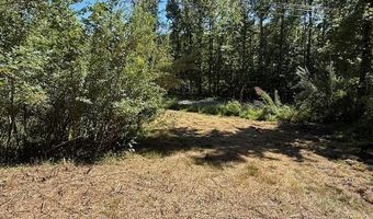 20181 N Fork River Rd, Abingdon, VA 24210