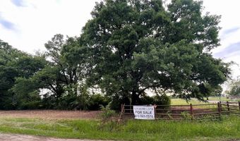 Lot 5 COUNTY ROAD 1560, Alba, TX 75410