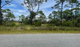 223 Hidden Harbor Dr, Alligator Point, FL 32346