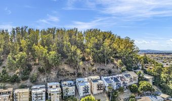 599 Jackson St, Albany, CA 94706