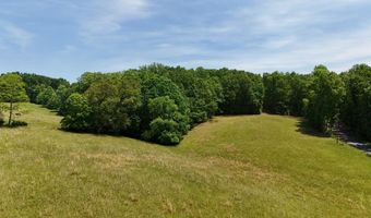 Flat Mountain Rd, Alderson, WV 24910