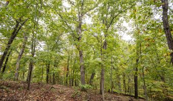 2421 Morrison Loop, Anderson, MO 64831