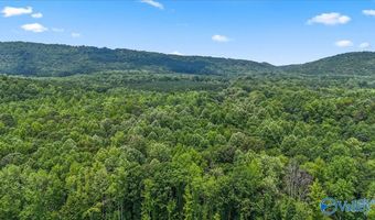 Unit # 0 Murphree Valley Road, Altoona, AL 35952