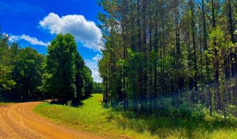 Arthur Drive, Brookhaven, MS 39601
