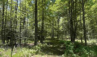10662 Wisconsin 139, Argonne, WI 54511