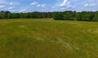 23826 Opine Rd, Andalusia, AL 36421