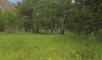 TBD Old Flowers Road, Bellvue, CO 80512