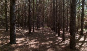 01 Goose Platter Rd, Batesburg, SC 29006