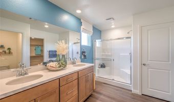 1032 PEACOCK PLUME Ave, Henderson, NV 89011