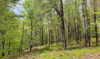 State Highway 28, Andes, NY 13731