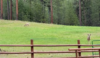 31850 Yearling Run, Alberton, MT 59820