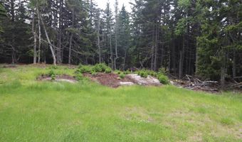 55 Black Duck Cove Rd, Beals, ME 04611