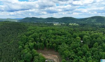 COLVIN SPRINGS ROAD 6, Ashville, AL 35953