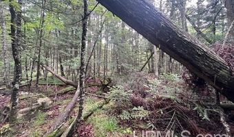 TBD Cable Lake, Amasa, MI 49903