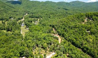 1064 Pinedale Ln, Andrews, NC 28901