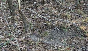 Williams Road, Bald Knob, AR 72010
