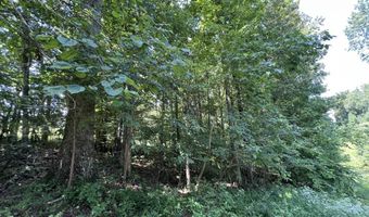 3772 E New Roe Rd, Adolphus, KY 42120