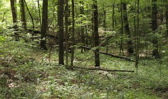 396 County Road 778, Athens, TN 37303