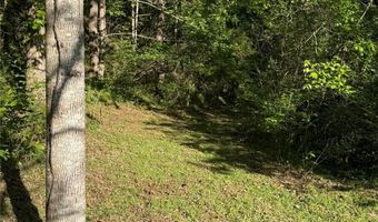 15 Woodchuck Cv, Alexander, NC 28701