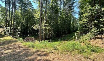 George Green Rd, Tallapoosa, GA 30176