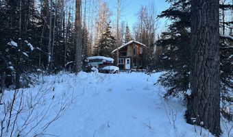 19396 N Fish Lake Rd, Chickaloon, AK 99674