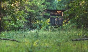 Bill Hubbard Rd, Braxton, MS 39044