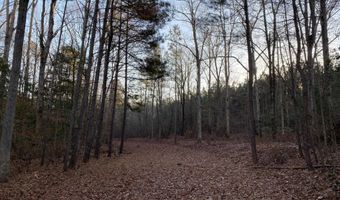 Spann Road, Batesburg Leesville, SC 29006