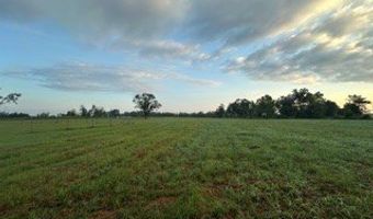 447 CR 215, Abbeville, MS 38601