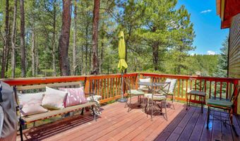33 Champions Ter, Angel Fire, NM 87710