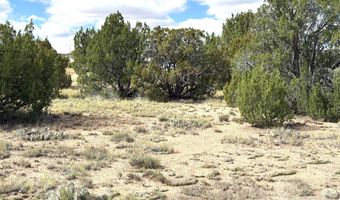 5 Clubhouse Ln, Concho, AZ 85924