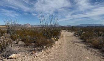 100 Killingsworth Rd, Alpine, TX 79830