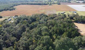 0 Cowpen Creek Rd, Atmore, AL 36502