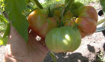 274 Albion Rd, Lincoln, RI 02865