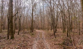Maddox Road, Ackerman, MS 39735
