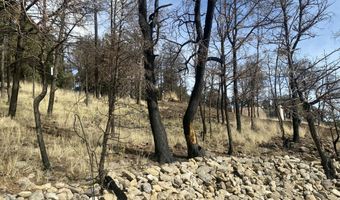 108 Woodridge Ct Lot 15, Alto, NM 88312