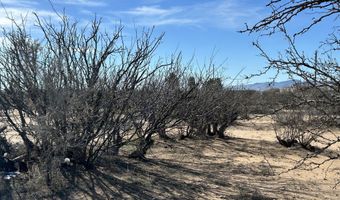 766 W Calle Rhode Island Cir, Cochise, AZ 85606