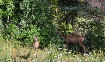 768 Kings Lake Rd, Basalt, CO 81621