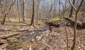163 Acres Duck Springs Rd, Attalla, AL 35954