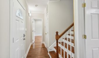 6442 HOLYOKE Dr, Annandale, VA 22003