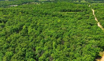 County Road 101, Alton, MO 65606