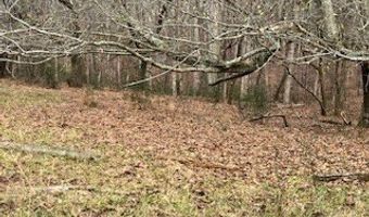 Julius Bridge Road, Ball Ground, GA 30107