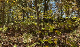 County Road 12, Akeley, MN 56433