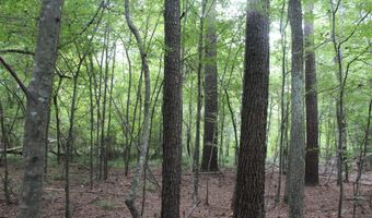 NE Hopewell Road, Brookhaven, MS 39601