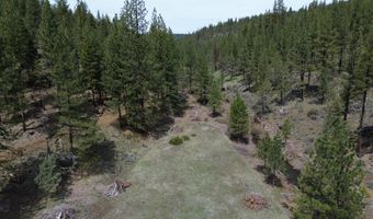 Roney Flat Road, Adin, CA 96006