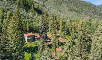 768 Kings Lake Rd, Basalt, CO 81621